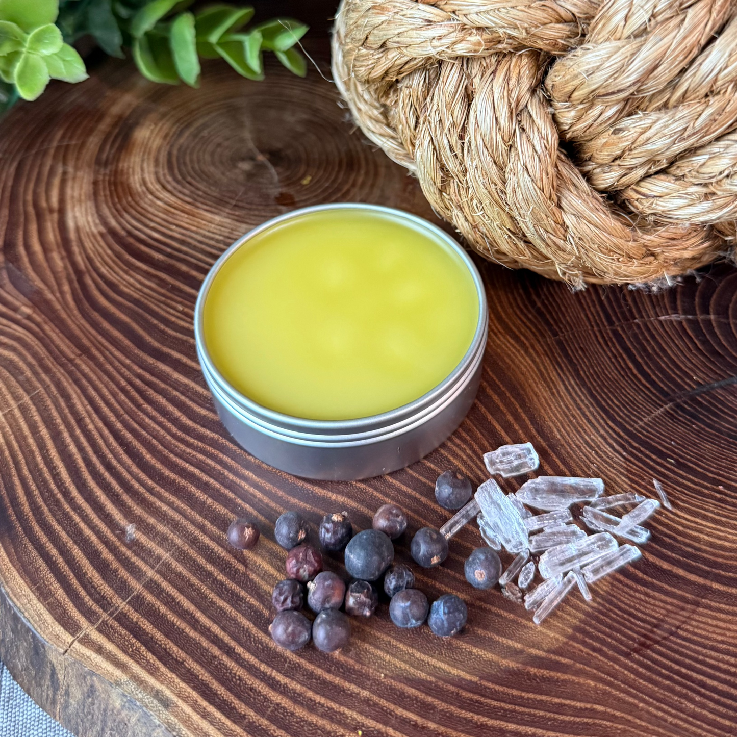 Arnica Muscle Rub