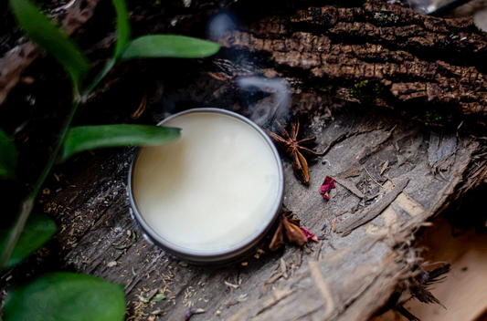 Sea Buckthorn Sunshine Salve